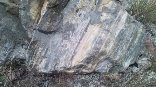 Гигантские зелёные валуны для ландшафтного дизайна весом более 5 тонн купить в Серове