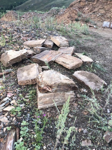 Плитняк кора дерева 50-100мм для пошаговых дорожек купить в Серове